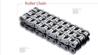Roller Chain